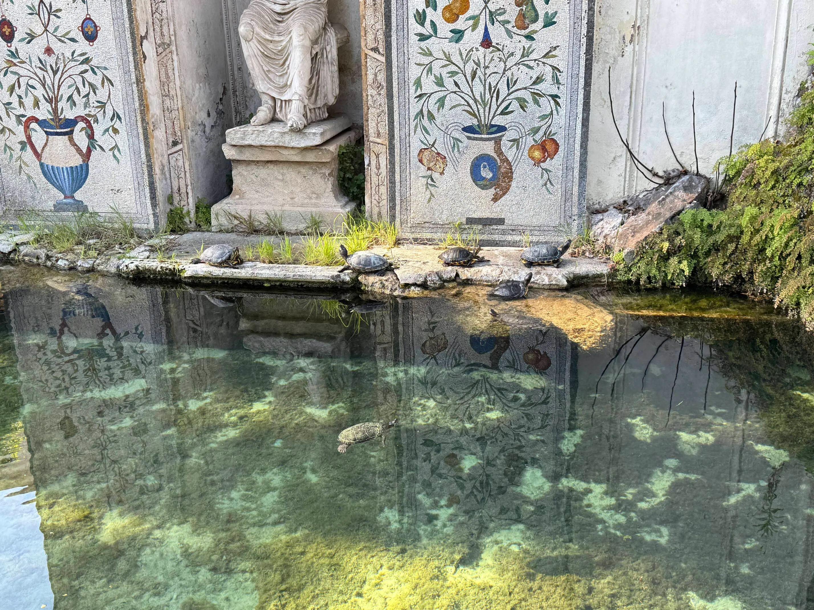 Skillpadder som strekekr seg etter som